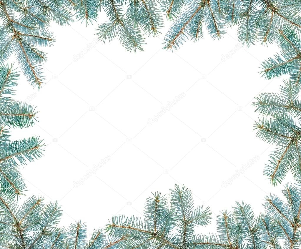Frame made with blue spruce twigs isolated on white, copyspaced