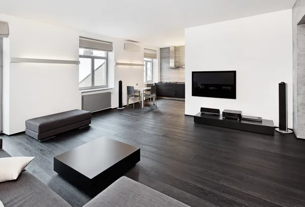 Interior de la sala de estar de estilo minimalista moderno en tonos blanco y negro — Foto de Stock