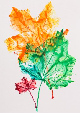 Maple leaves imprint, watercolor painting clipart
