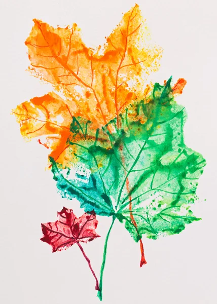 Maple leaves imprint, watercolor painting — Stock Photo, Image