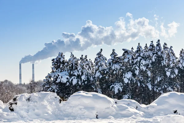 Промислові труби дим перед блакитним небом і зимова ялина фо — стокове фото