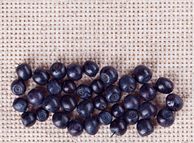 gri keten masa örtüsü ile kopya alanı üzerinde birçok bilberry meyve