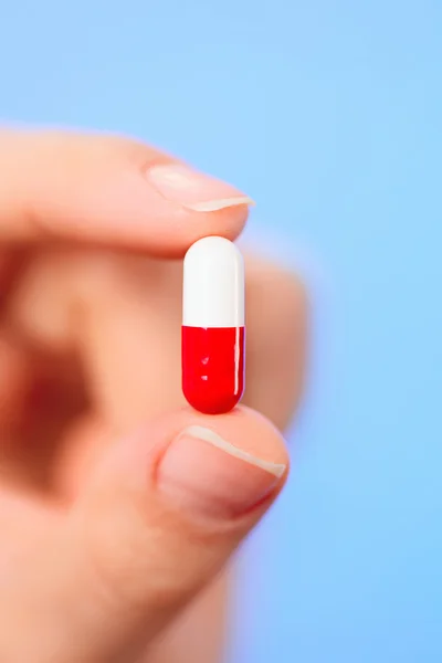 Red and white bolus (capsule) in doctor hand, macro view — Stock Photo, Image