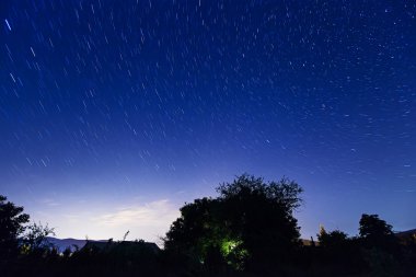 ağaçlar silueti ile gece yıldızlı gökyüzü
