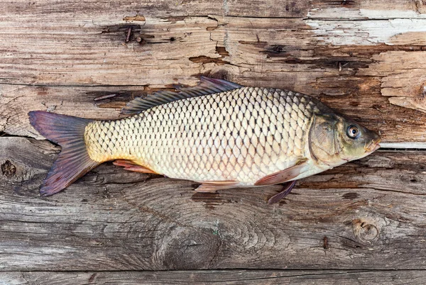 Carpa de pescado sobre tabla de madera vieja — Foto de Stock