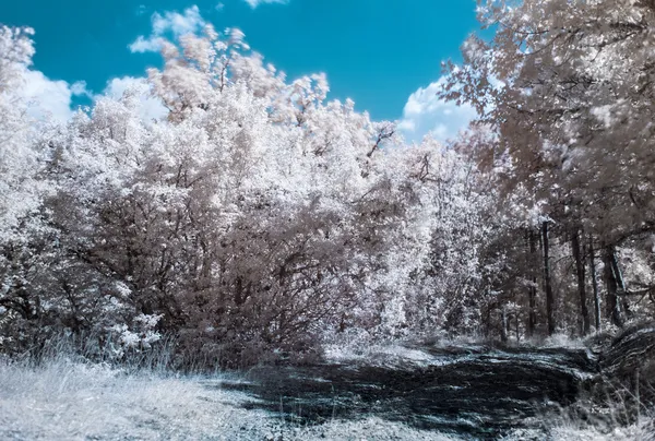 Paisaje de fotografía infrarroja (IR) con carretera forestal — Foto de Stock