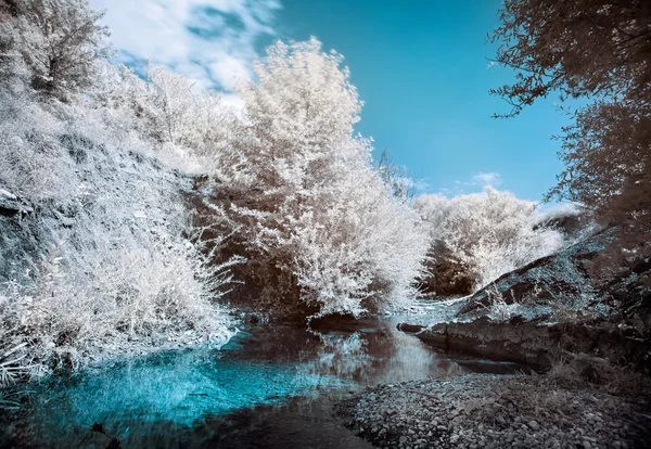 Montanha margem do rio com árvores, Infravermelho (IR) paisagem — Fotografia de Stock