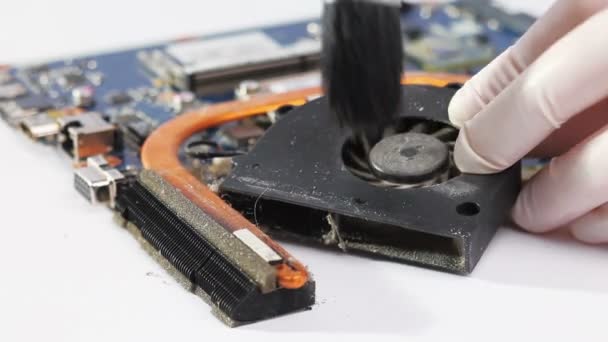 Notebook cooling system cleaning with a brush during service maintenance — Stock Video