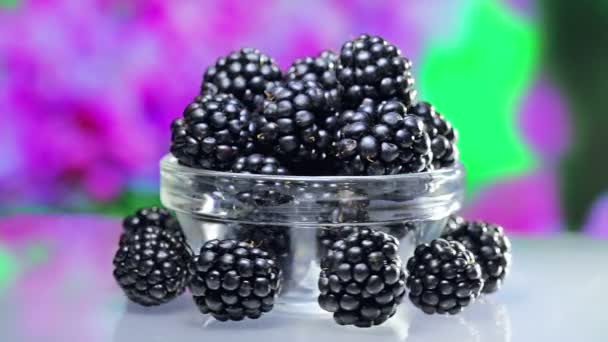 Szeder (blackberry) halom forgó zöld kültéri háttér — Stock videók