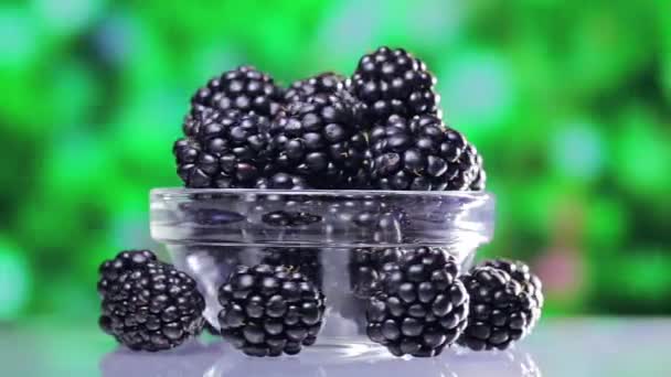 Bramble (blackberry) heap draaien op groene buiten achtergrond — Stockvideo