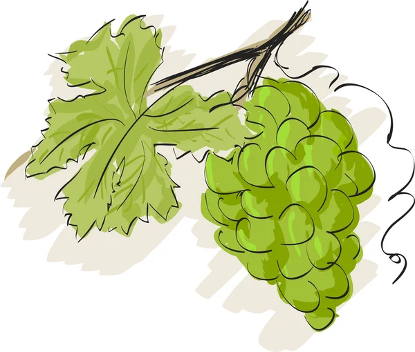 Grappe d'illustration de raisin — Image vectorielle