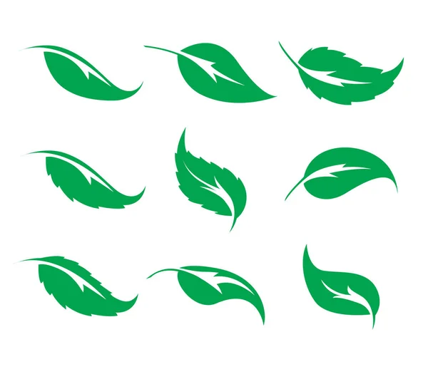 Set Nine Green Leaves Vector Icon White Background Elements Eco — Vettoriale Stock