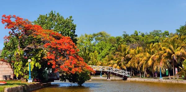 Fot-bridge i hesone park — Stockfoto