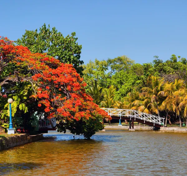 Gångbron i hesone park i varadero — Stockfoto