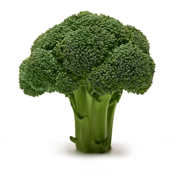 Broccoli biologici naturali freschi isolati su fondo bianco — Foto Stock