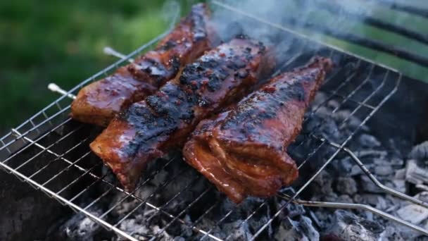 Delicious beef or pork ribs frying on a charcoal grill — Stock video