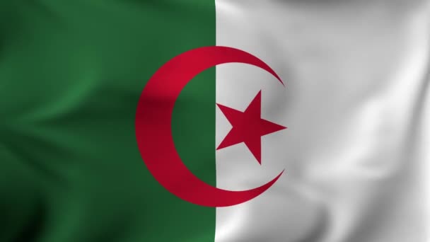 3D animation Flag Waving in slow motion Fill Frame - Algeria — Vídeos de Stock