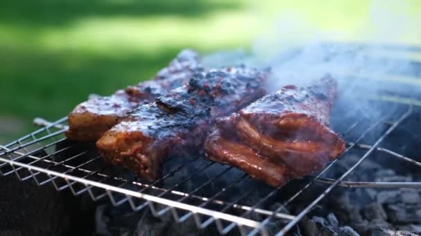 Läckra nötkött eller fläsk revben steka på en träkol grill — Stockvideo