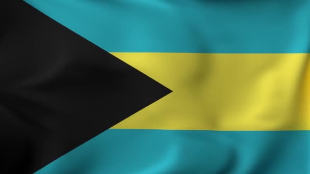 Bandeira de animação 3D Acenando em câmera lenta Quadro de preenchimento - Bahamas — Vídeo de Stock