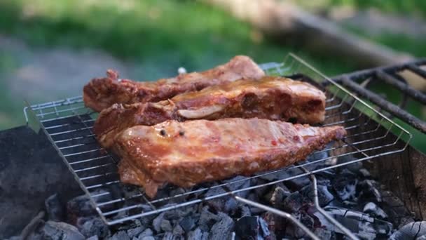 Délicieuses côtes de bœuf ou de porc frire sur un gril au charbon de bois recouvert d'une brosse à sauce sauce rouge — Video