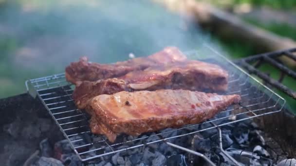 炭火焼で揚げるおいしい牛や豚の肋骨は赤いグレービーソースブラシで覆われている — ストック動画
