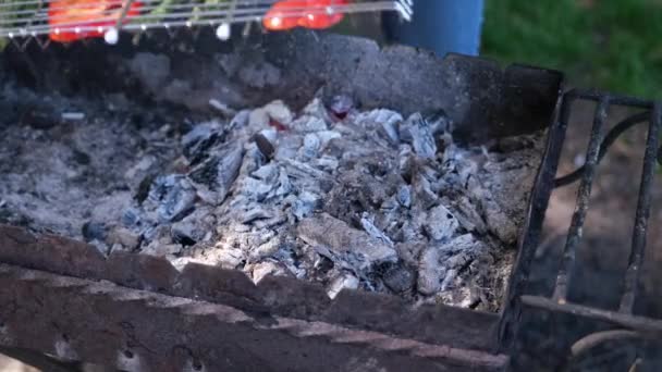 Preparación de verduras a la parrilla - Espárragos y pimiento rojo en una parrilla de carbón — Vídeo de stock