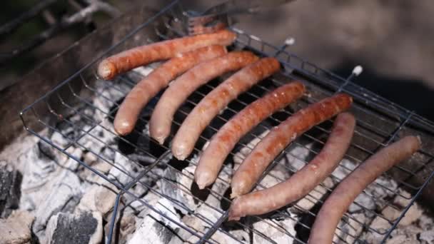 Close-up view of tasty sausages grilling on charcoal grill grate — Stock Video