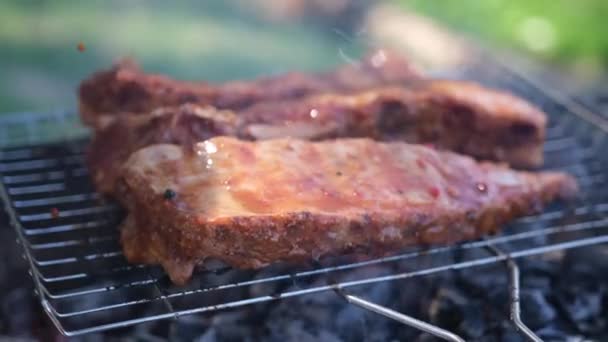 鲜美的牛肉或猪肉排骨在用红色肉汁刷覆盖的炭烤架上油炸 — 图库视频影像