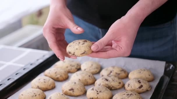Жінка тримає свіже домашнє печиво з м'яких шоколадних чіпів — стокове відео