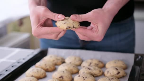 Mulher segurando fresco feito caseiro biscoitos chip de chocolate macio — Vídeo de Stock