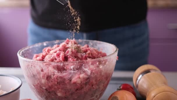 Añadir sal y especias a la carne picada con cebolla y especias en un tazón de vidrio haciendo chuletas — Vídeos de Stock