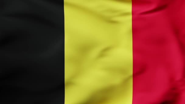 Bandera Animación Ondeando Cámara Lenta Bélgica Imágenes Alta Calidad — Vídeos de Stock