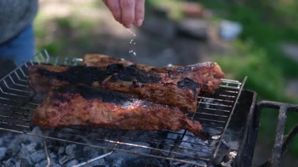 Solení Lahodných Hovězích Nebo Vepřových Žeber Smažených Grilu Dřevěném Uhlí — Stock video