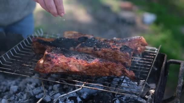 Salga Deliciosa Carne Costelas Porco Fritando Uma Grelha Carvão — Vídeo de Stock