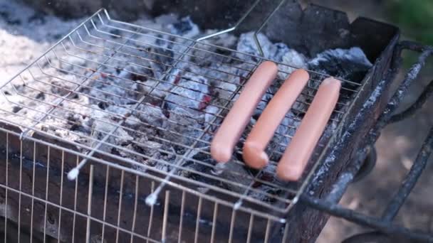 Vue Rapprochée Savoureuses Saucisses Grillées Sur Grille Charbon Bois — Video