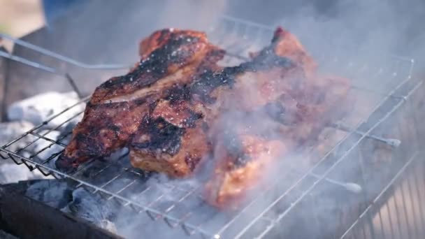 Finom Marha Vagy Sertésborda Faszén Grillsütőn Sütve — Stock videók