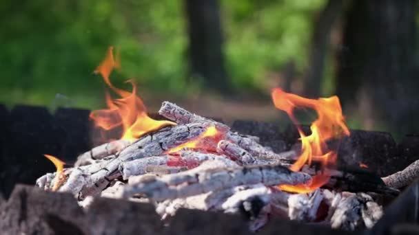 Firewood Burning Slow Motion Video Tongues Fire Smoke Coals Grill — Stockvideo