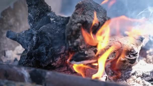 Firewood Burning Slow Motion Video Tongues Fire Smoke Coals Grill — Stockvideo