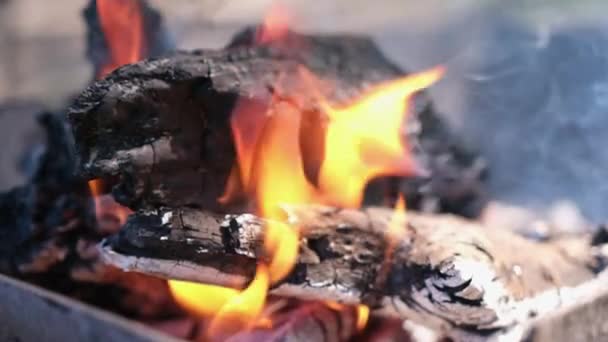 Firewood Burning Slow Motion Video Tongues Fire Smoke Coals Grill — Vídeo de Stock