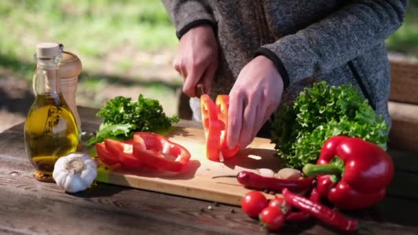 Frau Schneidet Tomaten Für Gemüsesalat Freien — Stockvideo