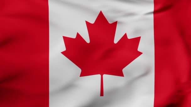 Animation Flag Waving Slow Motion Fill Frame Canada High Quality — Stockvideo