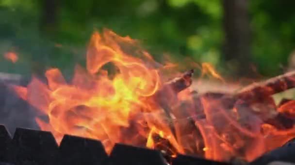 Firewood Burning Slow Motion Video Tongues Fire Smoke Coals Grill — Stockvideo