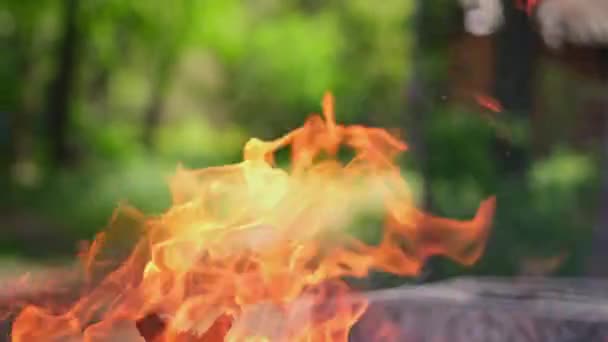Firewood Burning Slow Motion Video Tongues Fire Smoke Coals Grill — Stockvideo