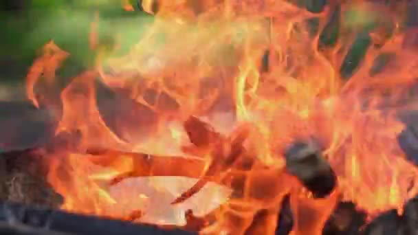 Firewood Burning Slow Motion Video Tongues Fire Smoke Coals Grill — Stock Video