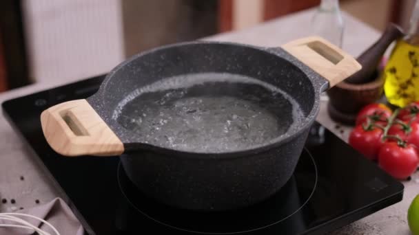Water Boiling Pot Induction Hob Domestic Kitchen — Stockvideo
