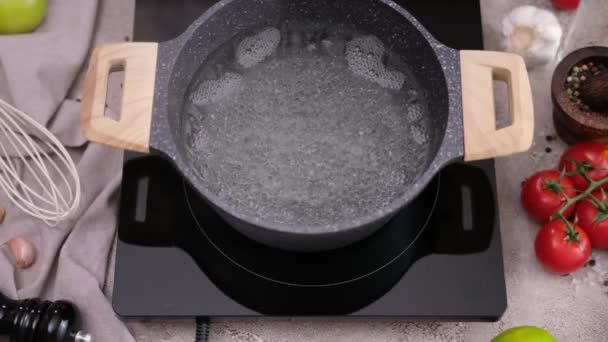 Water Boiling Pot Induction Hob Domestic Kitchen — Stockvideo