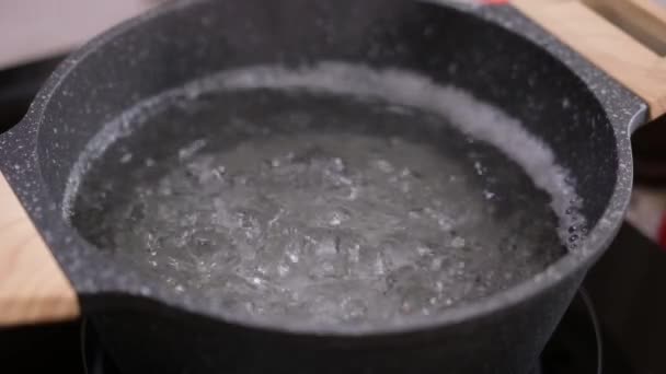 Water Boiling Pot Induction Hob Domestic Kitchen — Stock videók