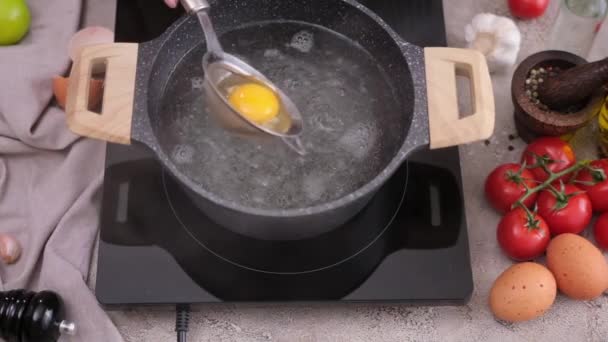 Poached Egg Woman Puts Pot Hot Boiling Water — Vídeos de Stock
