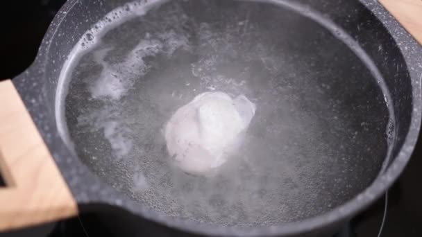 Home Cooking Poached Egg Pot Boiling Water — Vídeos de Stock