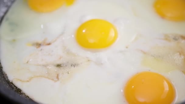 Closeup Shot Cooking Fried Eggs Non Stick Pan — 图库视频影像